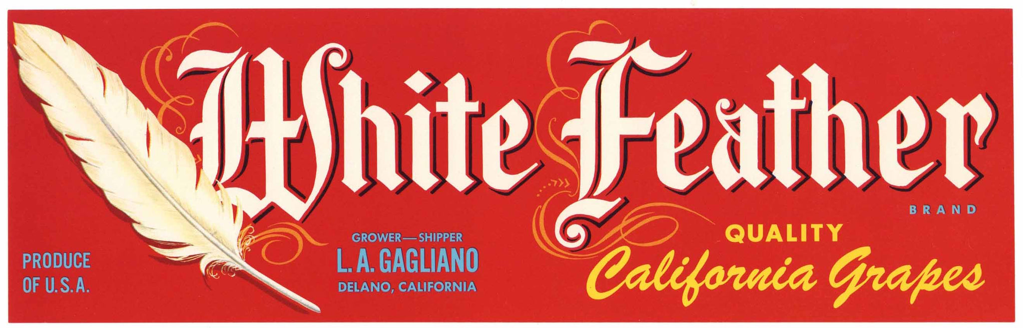 White Feather Brand Vintage Delano California Grape Crate Label