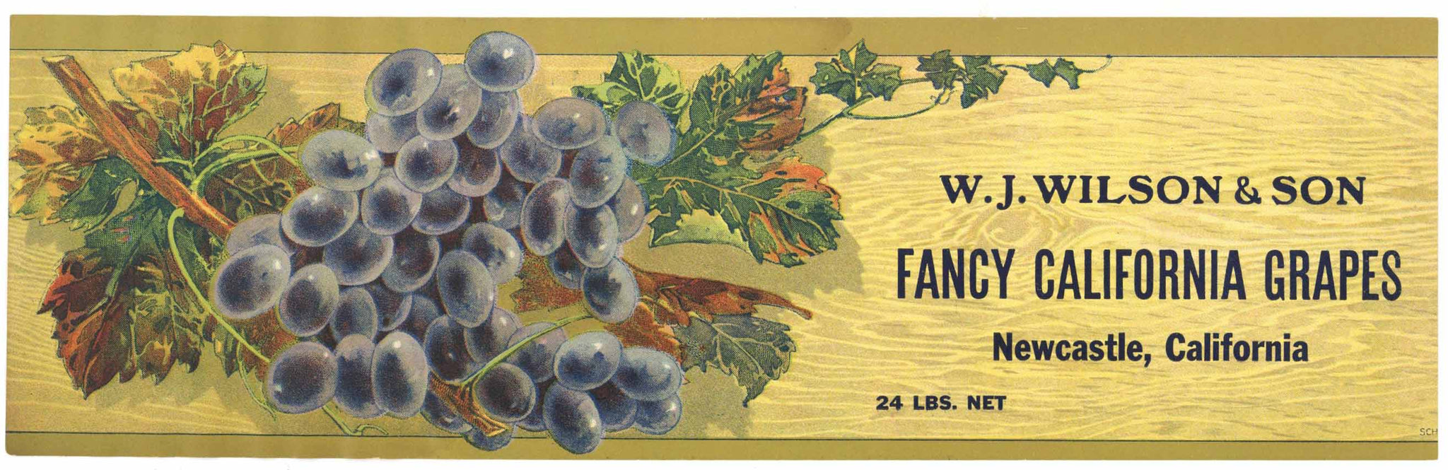 W. J. Wilson Brand Vintage Placer County Fancy California Grapes Crate Label, wear