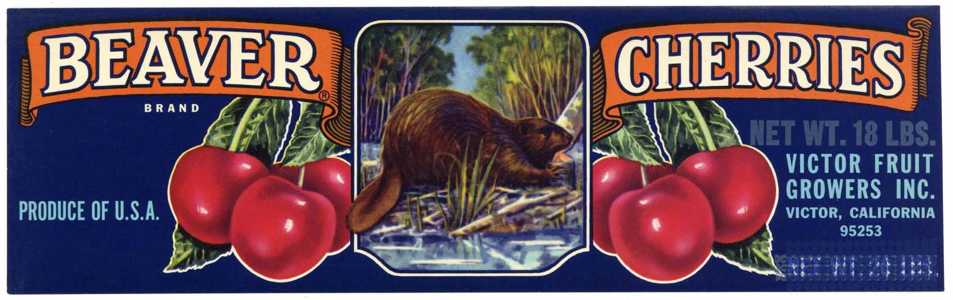 Beaver Brand Vintage Victor California Cherry Crate Label bllue, overprint