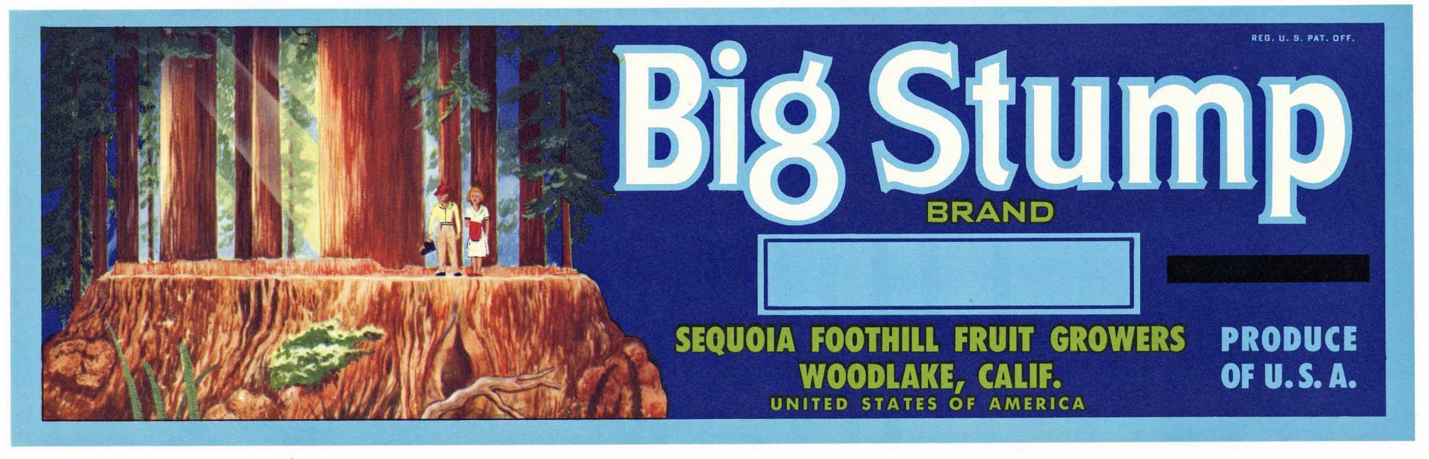 Big Stump Brand Vintage Woodlake Grape Crate Label, box