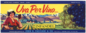 Uva Per Vino Brand Vintage Fontana California Grape Crate Label, wear