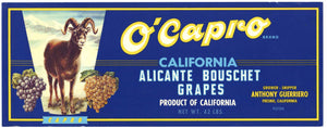 O'Capro Brand Vintage Wine Grape Crate Label, Alicante