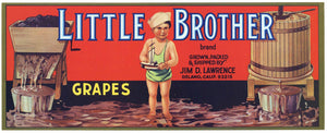 Little Brother Brand Vintage Delano Wine Grape Crate Label