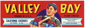 Valley Boy Brand Vintage Victor California Cherry Crate Label, smaller