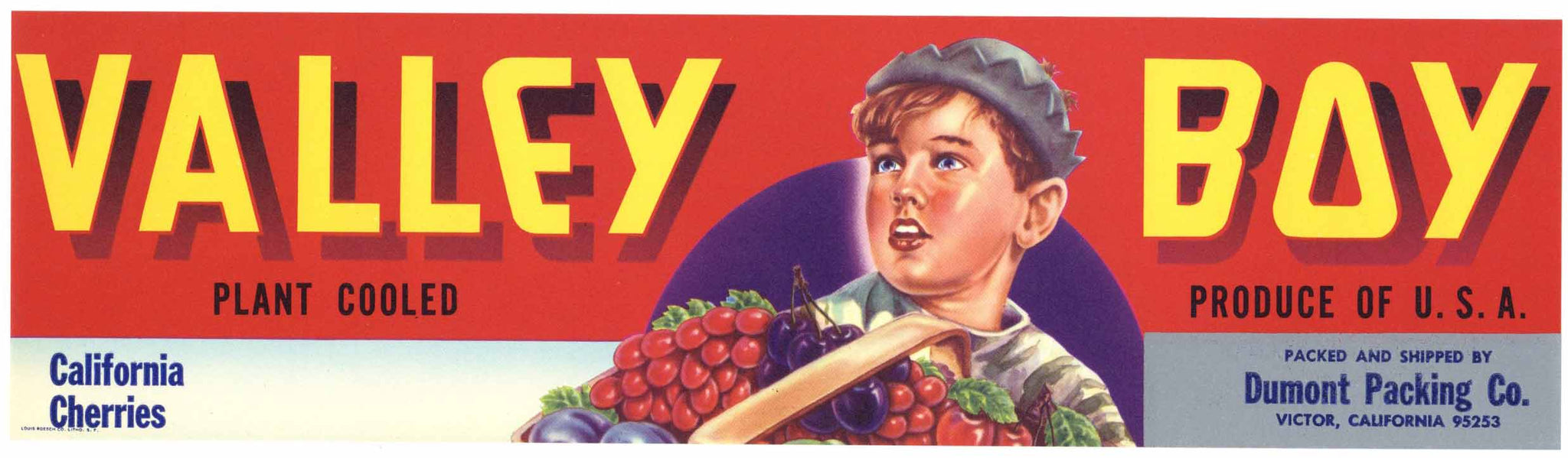 Valley Boy Brand Vintage Victor California Cherry Crate Label, larger