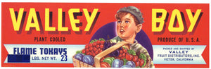 Valley Boy Brand Vintage Victor Flame Tokay Grape Crate Label, overprint