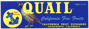 Quail Brand Vintage Sacramento California Fruit Crate Label