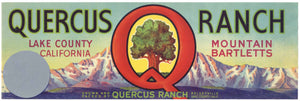 Quercus Ranch Brand Vintage Lake County Pear Crate Label, Lug, op