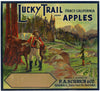 Lucky Trail Brand Vintage Watsonville Apple Crate Label b