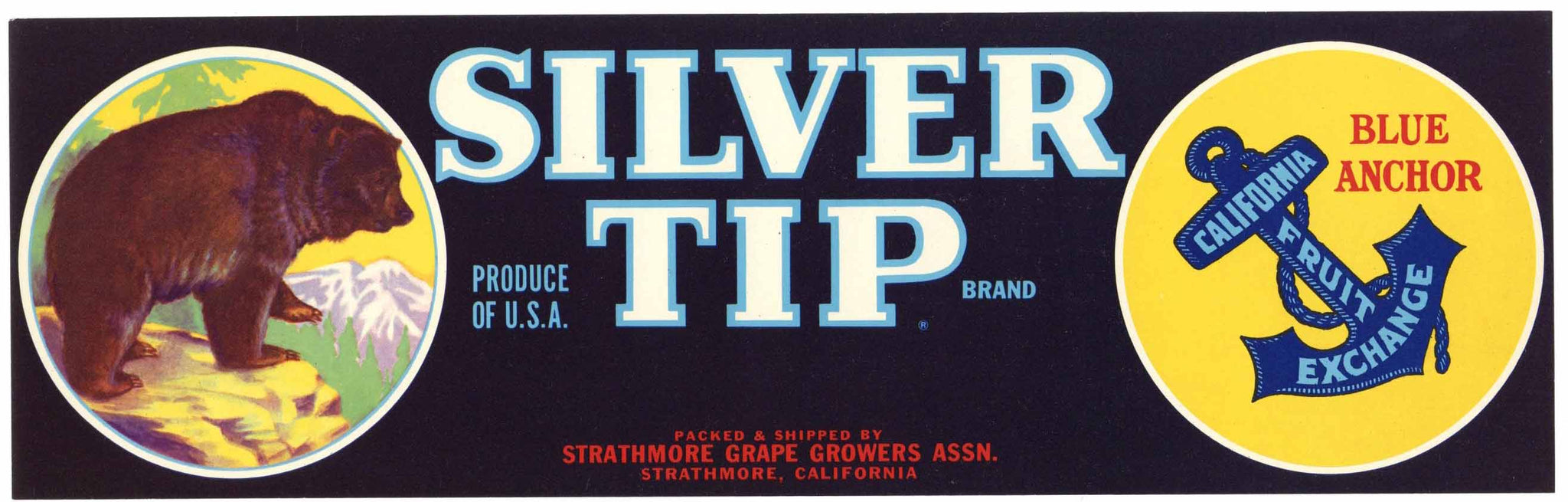 Silver Tip Brand Vintage Fruit Crate Label, Blue Anchor