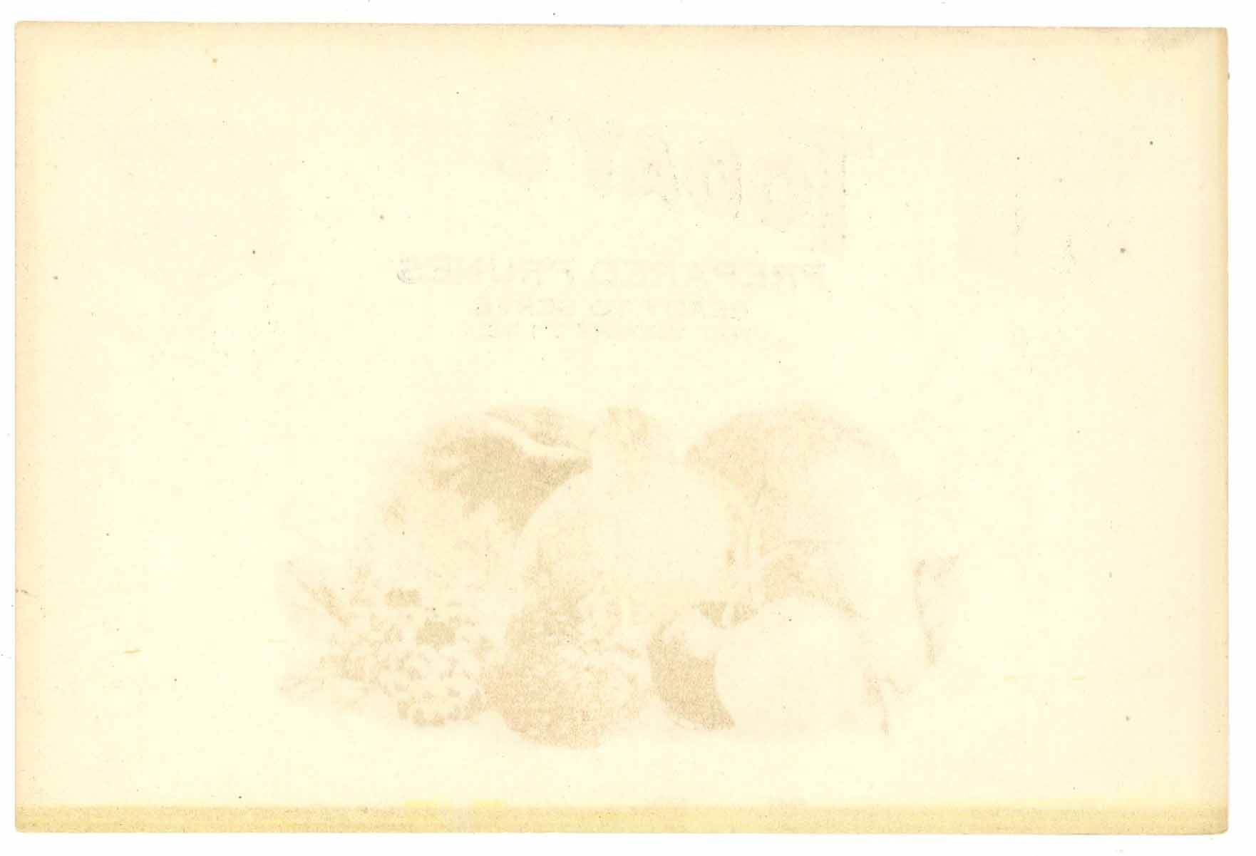 Today's Brand Vintage Prepared Prunes Can Label – thelabelman