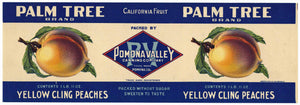 Palm Tree Brand Pomona California Peach Can Label