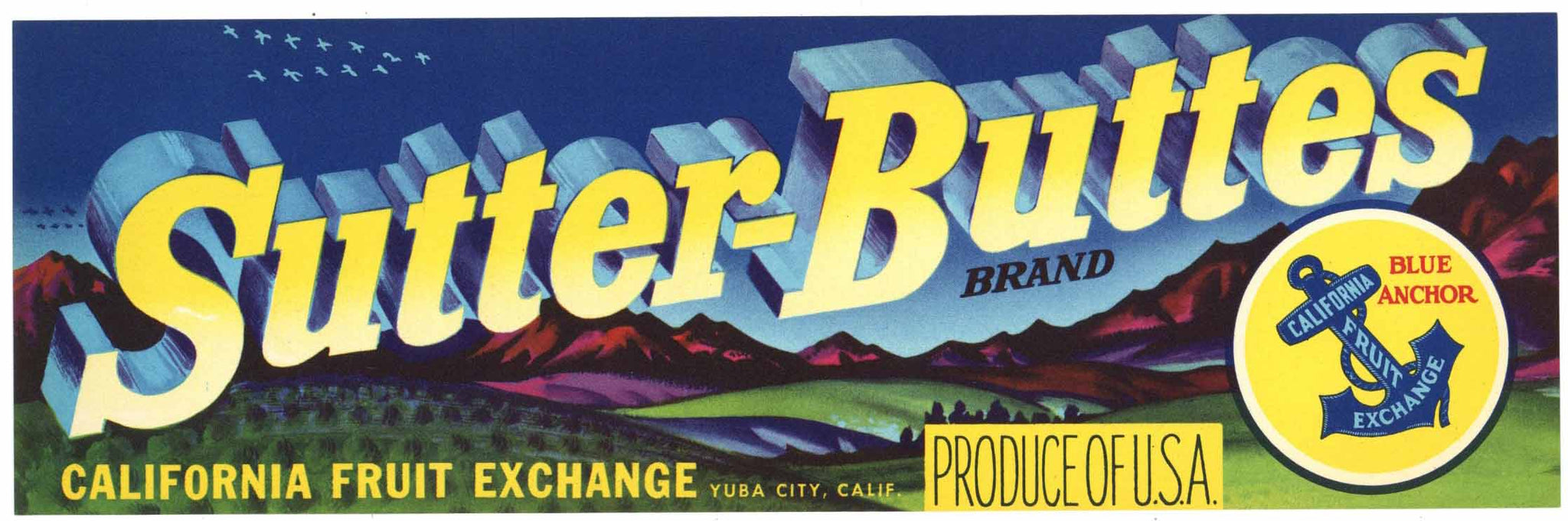 Sutter Buttes Brand Vintage Yuba City Produce Crate Label, S