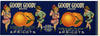 Goody Goody Brand Vintage Apricot Can Label