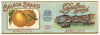 Balboa Brand Vintage Apricot Can Label
