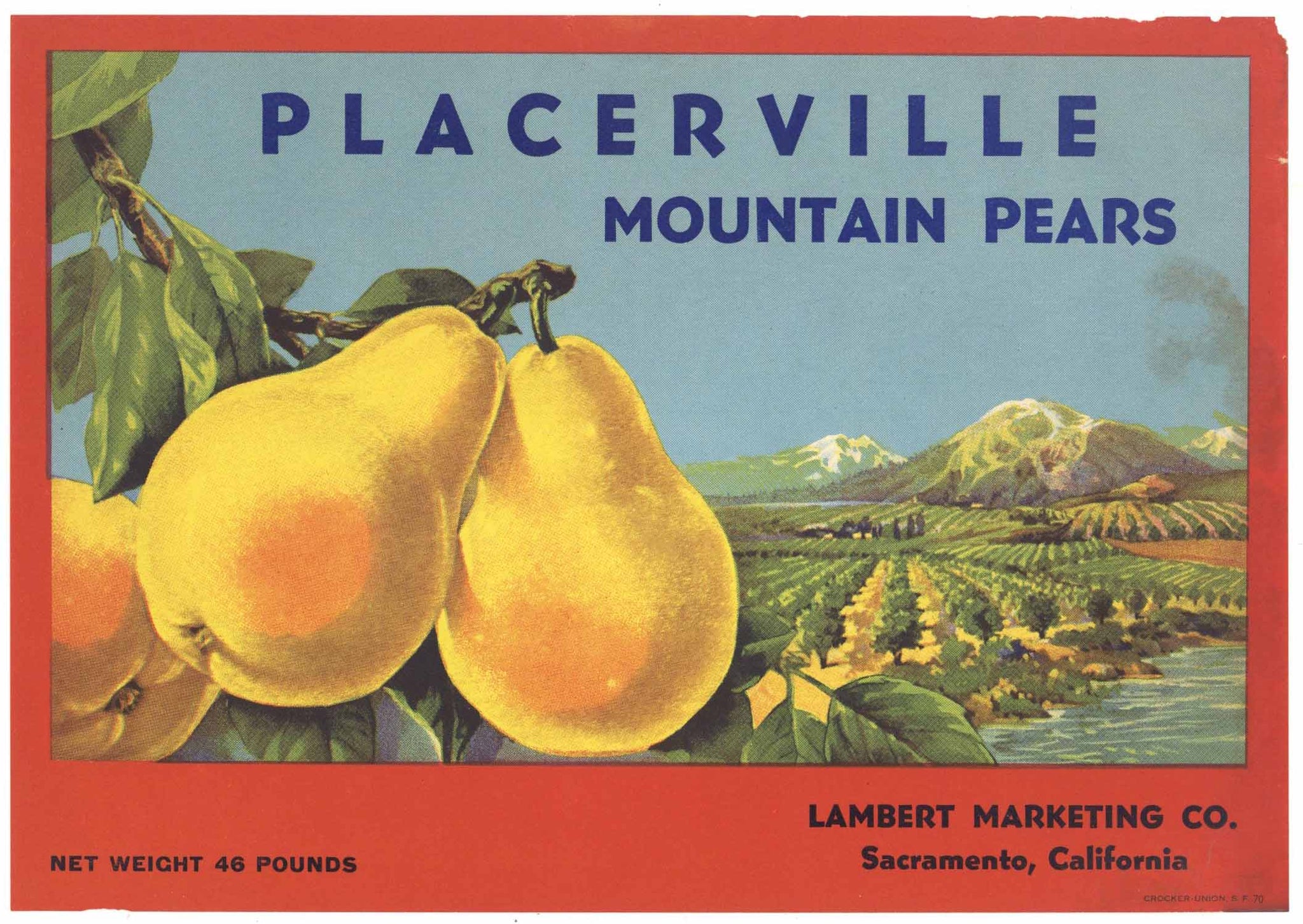 Placerville Mountain Pears Brand Vintage El Dorado County Pear Crate Label