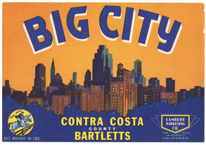 Big City Brand Contra Costa, California Pear Crate Label