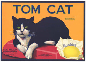 Tom Cat Brand Vintage Lemon Crate Label