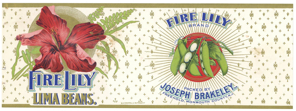 Fire Lily Brand Vintage New Jersey Lima Beans Can Label
