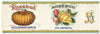 Rosebud Brand Vintage Mason City Iowa Pumpkin Can Label