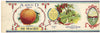 A and D Brand Vintage Elsey Missouri Pie Peaches Can Label
