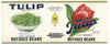 Tulip Brand Vintage Boston Massachusetts Refugee Beans Can Label