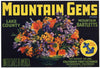 Mountain Gems Brand Vintage Pear Crate Label