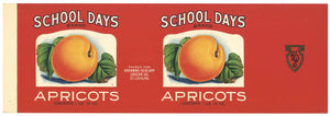 School Days Brand Vintage St. Louis Missouri Apricots Can Label