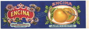 Encina Brand Vintage Apricot Can Label