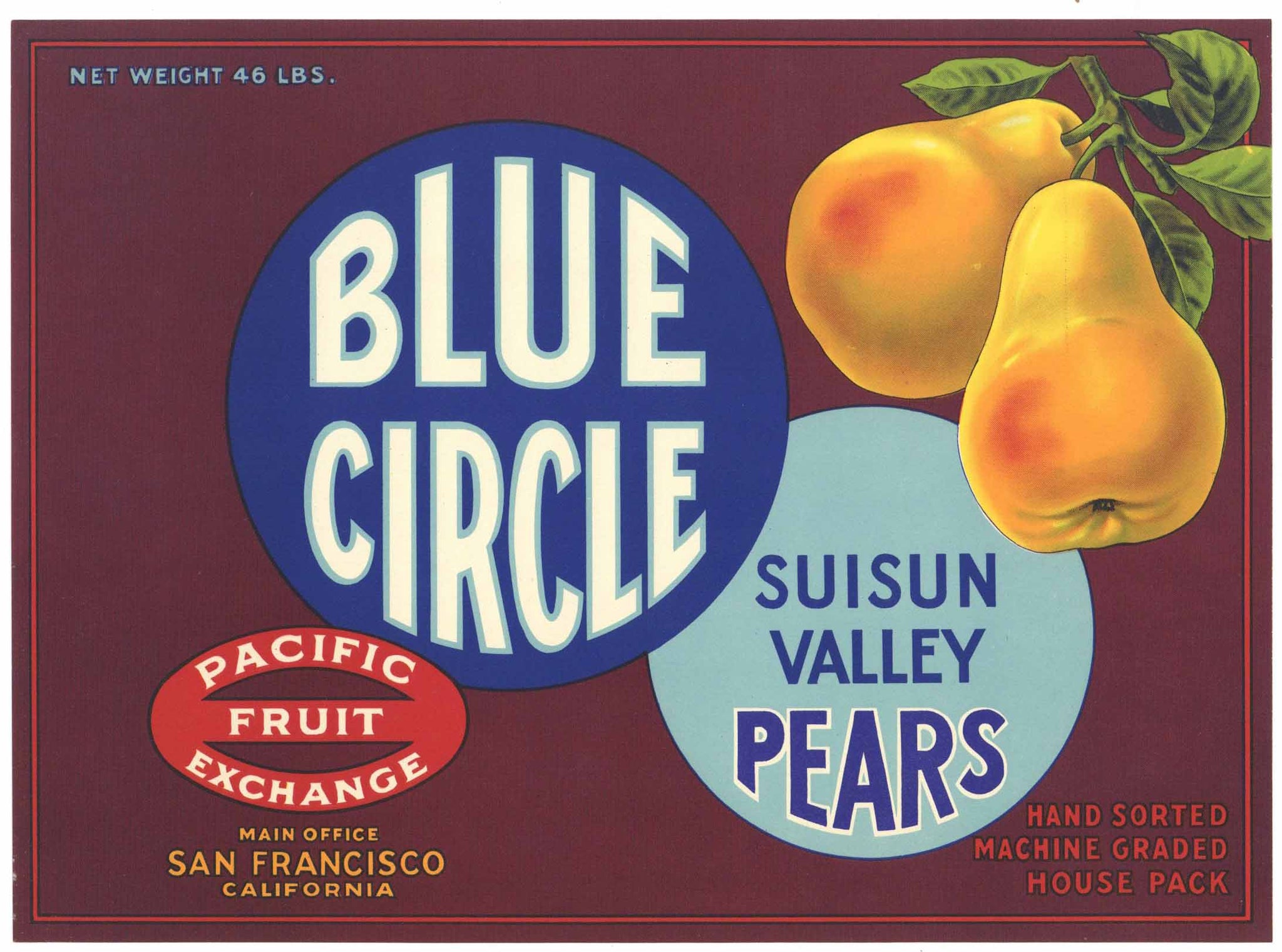 Blue Circle Vintage Suisun Valley Pear Crate Label