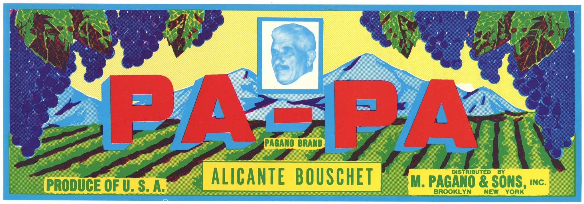 Pa-Pa Brand Vintage New York Alicante Bouschet Grape Crate Label