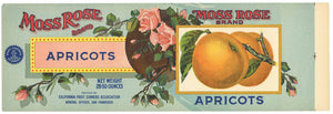 Moss Rose Brand Vintage Apricot Can Label