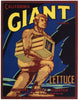 Giant Brand Vintage Salinas Vegetable Crate Label, wear
