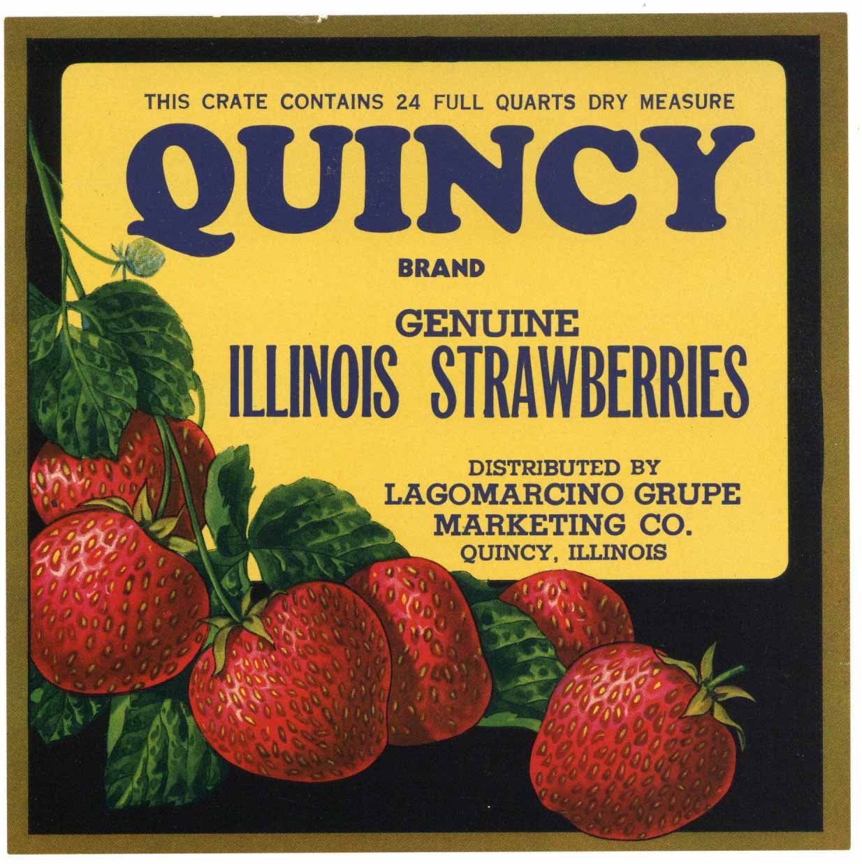 Quincy Brand Vintage Illinois Strawberry Crate Label
