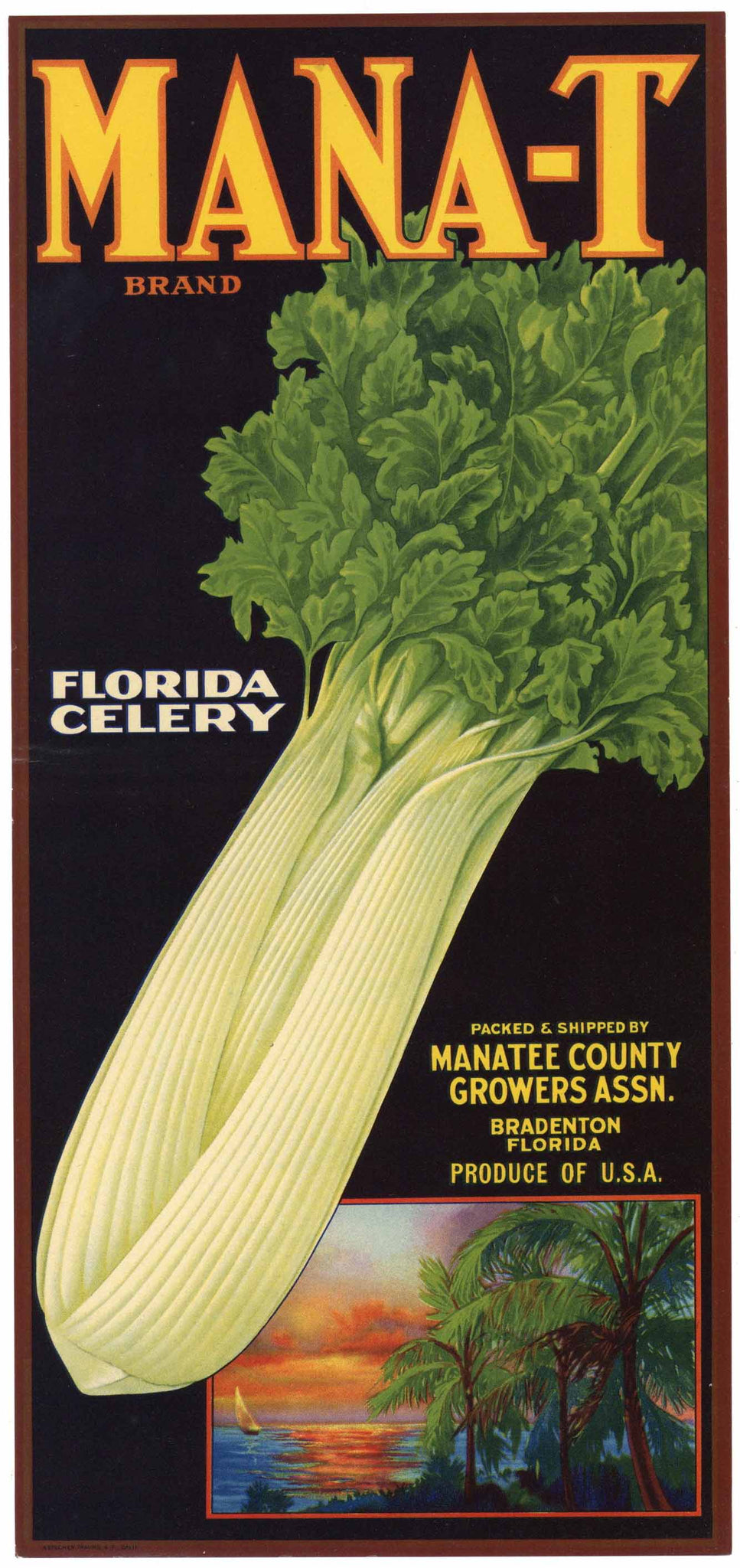 Mana-T Brand Vintage Bradenton Florida Celery Crate Label, bend