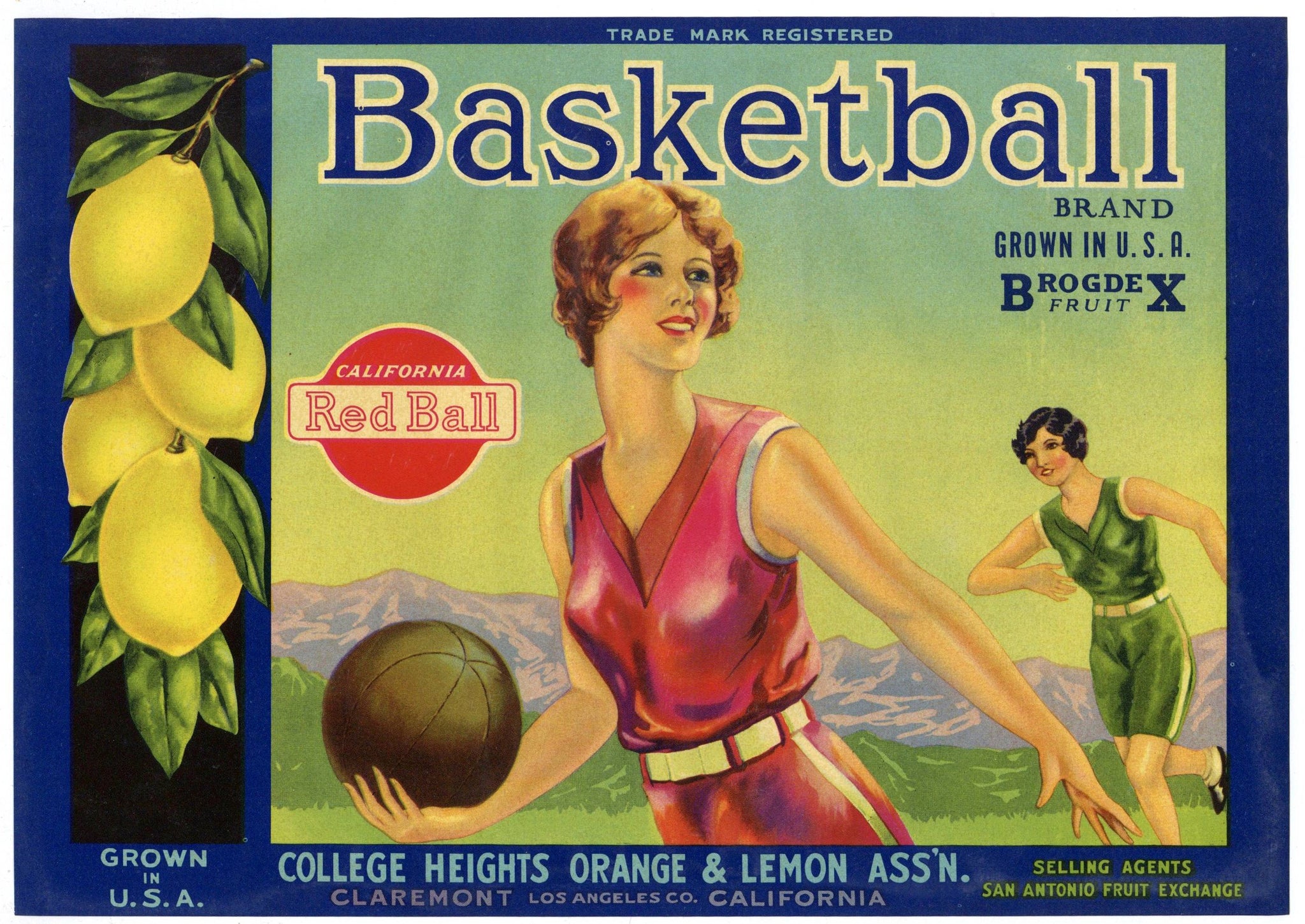 Basketball Brand Vintage Claremont Lemon Crate Label, wave
