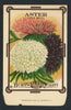 Aster Antique Burt's Seed Packet, Mixed