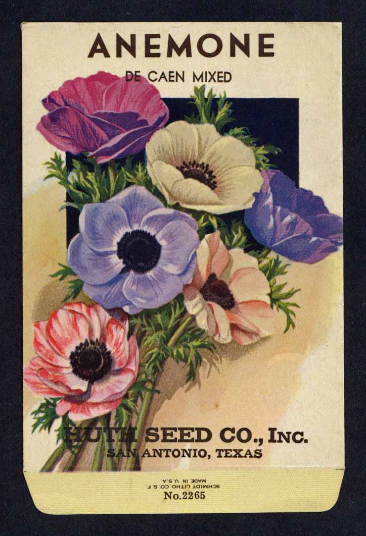 Anemone Vintage Huth Seed Co. Seed Packet