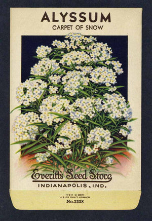 Alyssum Vintage Everitt's Seed Packet, Carpet of Snow