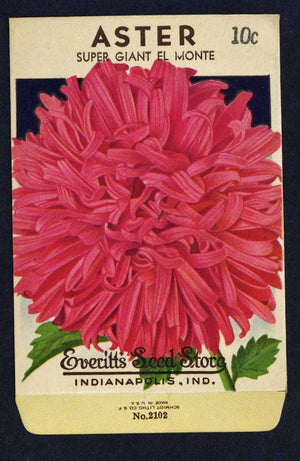 Aster Vintage Everitt's Seed Packet, Super Giant