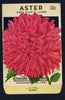 Aster Vintage Everitt's Seed Packet, Super Giant