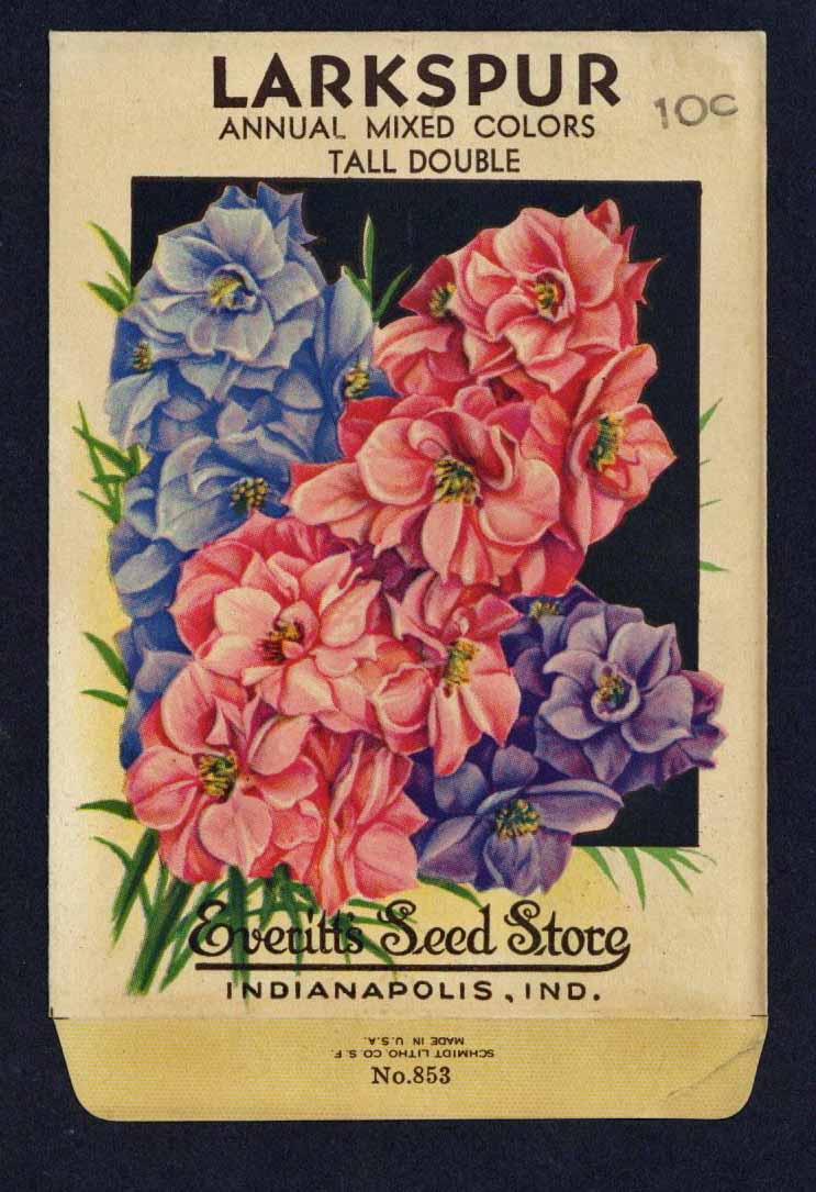 Larkspur Vintage Everitt's Seed Packet, wear