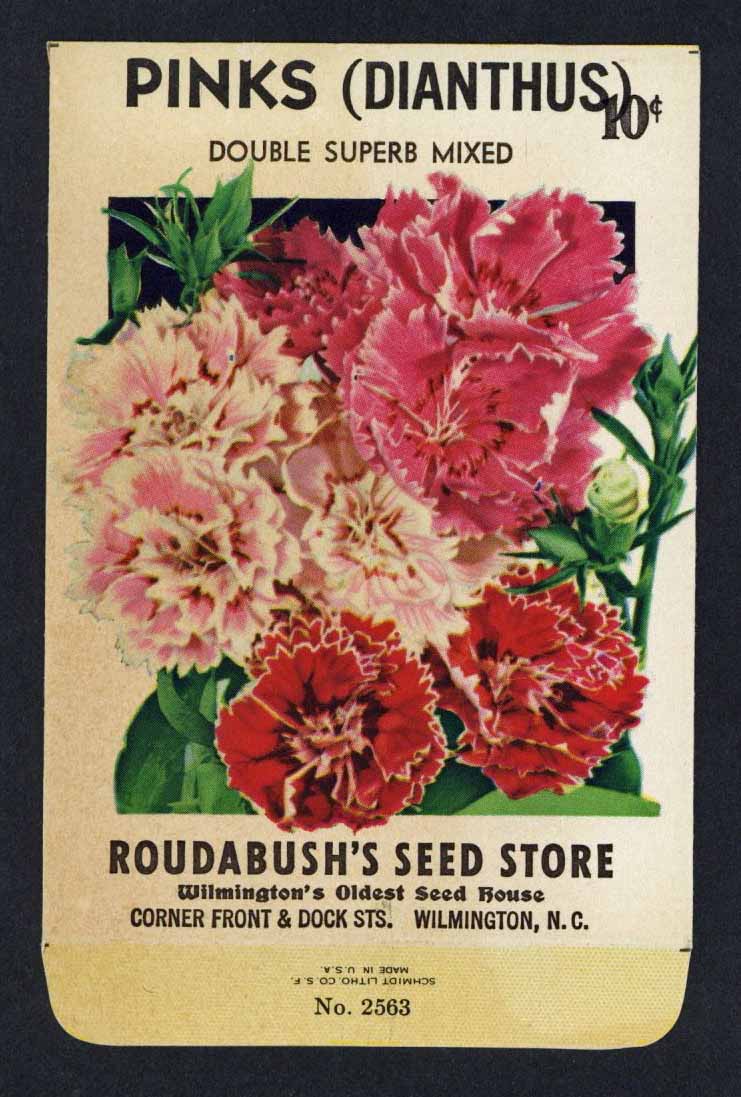 Pinks Vintage Roudabush's Seed Packet