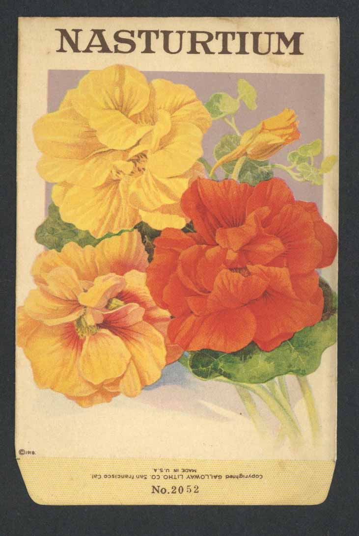 Nasturtium Antique Stock Seed Packet