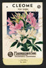 Cleome Vintage Lagomarsino Seed Packet, Pink Queen