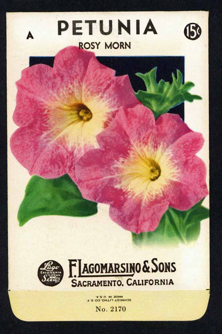 Petunia Vintage Lagomarsino Seed Packet, Rosy Morn