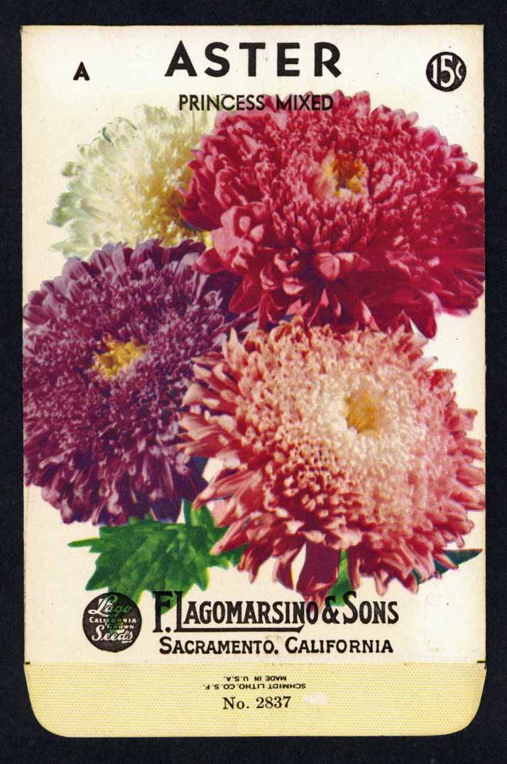 Aster Vintage Lagomarsino Seed Packet, Princess Mixed