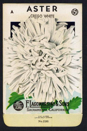 Aster Vintage Lagomarsino Seed Packet, Crego White