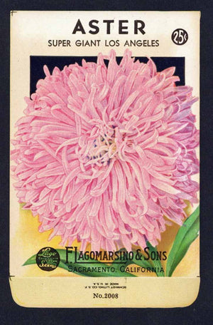 Aster Vintage Lagomarsino Seed Packet