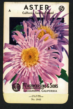 Aster Vintage Lagomarsino Seed Packet, California Sunshine